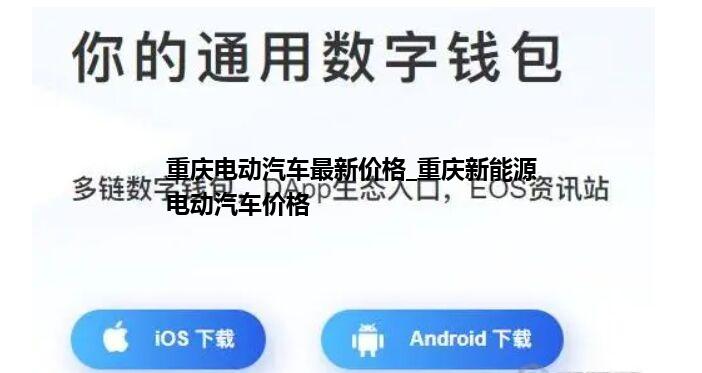 重庆电动汽车最新价格_重庆新能源电动汽车价格